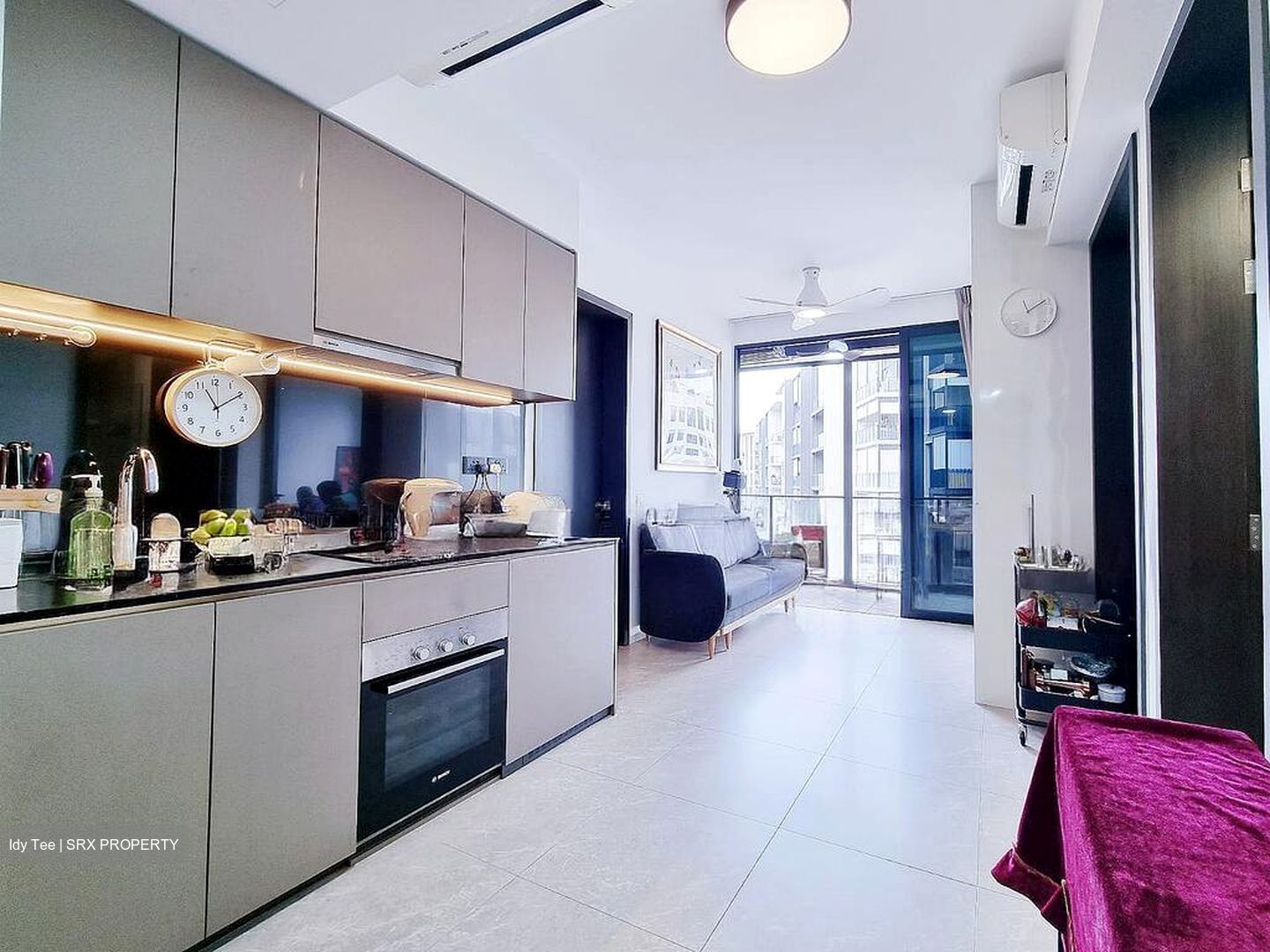 Park Colonial (D13), Condominium #498939301